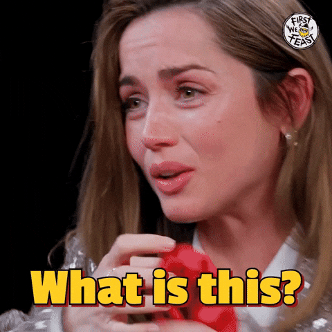 Confused What Is This GIF by First We Feast
