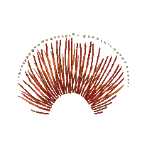 tompettyofficial halo wildflowers tom petty Sticker