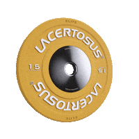 Lacertosus fitness gym training disco Sticker