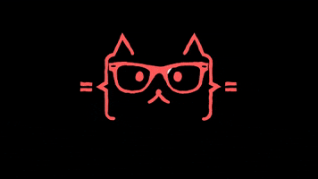 cool cat GIF by English For IT