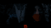 Fantasy Film Movie GIF by Indiecan Entertainment Inc.