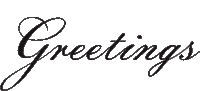 Season Greetings Sticker by Hollister Co.