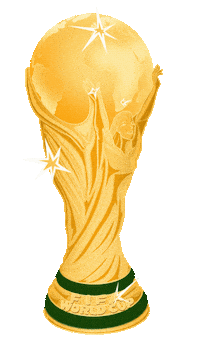 World Cup Football Sticker by mackelangelo
