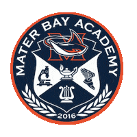 Rays Sticker by Mater Bay