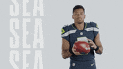 American Football GIF by Seattle Seahawks
