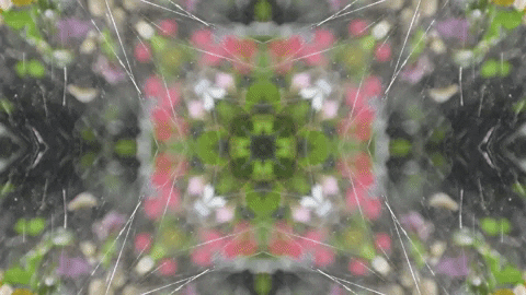 Art Love GIF by jorgemariozuleta