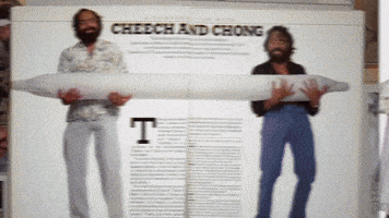 Cheech And Chong Smoke GIF by Cheech & Chong’s Last Movie