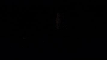 Go Forth Become The Elden Lord