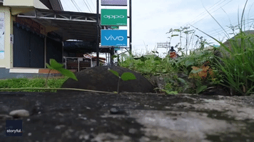 Torrential Rain Causes Fatal Flooding in Indonesia