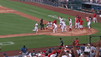 Regular Season Win GIF by MLB