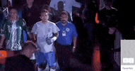toprank fight sports sport boxing GIF