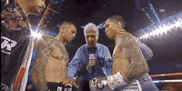 toprank fight boxing fighting fighters GIF