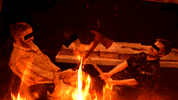 Fire Burn GIF by Four Rest Films