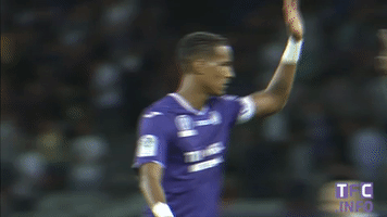 toulousefc sports soccer check ligue 1 GIF