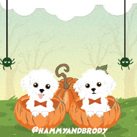 Dogs Thank You GIF by HammyandBrody