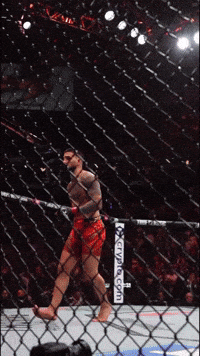 Ufc Mma GIF by Cyber Drive Drinks