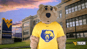 Love You Heart GIF by WVU Tech Golden Bears