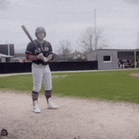 Baseball Batter GIF