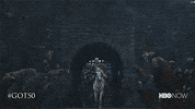 Hbo GIF by Game of Thrones