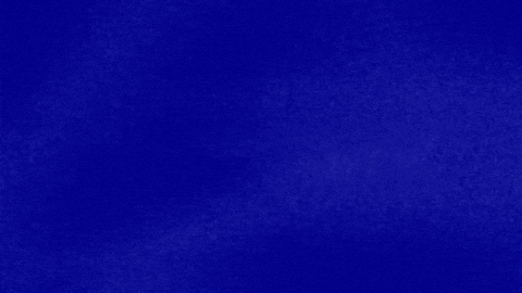 Tmi GIF by Jeopardy!