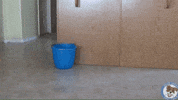 Mop GIF