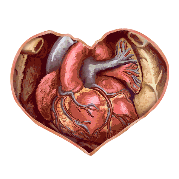 ABWomensHealth heart international womens day iwd womens health Sticker