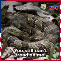 Lets Go Celebration GIF by U.S. Fish and Wildlife Service