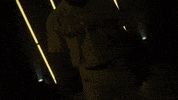 GIF by NCAA Championships