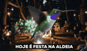 Medicina GIF by Templo do Autoconhecimento
