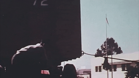 Art Video GIF by jorgemariozuleta