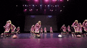 Dance Punjabi GIF by Royal Academy of Bhangra
