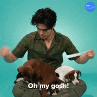 Dog Puppy GIF by BuzzFeed