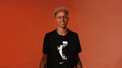 Candice Dupree What GIF by WNBA