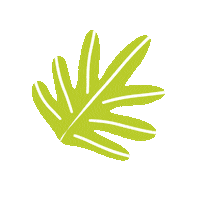 Leaf Feuille Sticker by Sophie la girafe