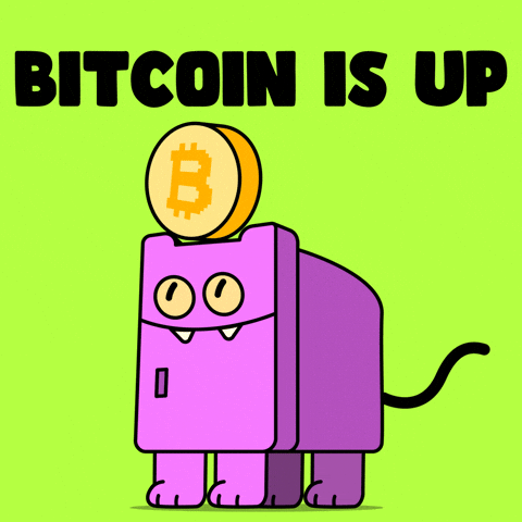 Happy Pump It GIF by Nexio