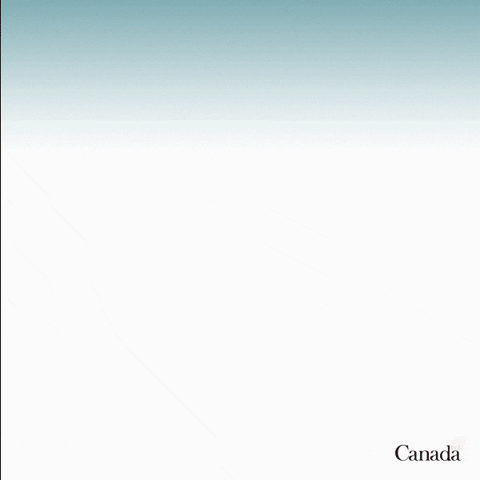 canada_international canada4rights defendmediafreedom GIF