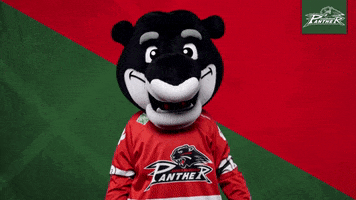 Hockey Mascot GIF by Augsburger Panther Eishockey GmbH