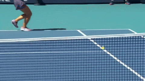 kareljedlika giphyupload GIF