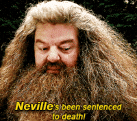 Harry Potter GIF