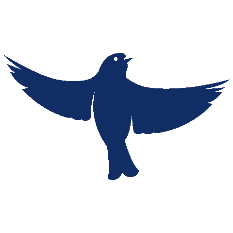 birdforgovernor giphyupload animal bird politics Sticker