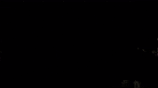 Hockey Del2 GIF by Krefeld Pinguine