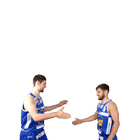 Celebrating Sticker by Basketball Superliga