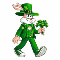 Paris Ireland GIF by RATP
