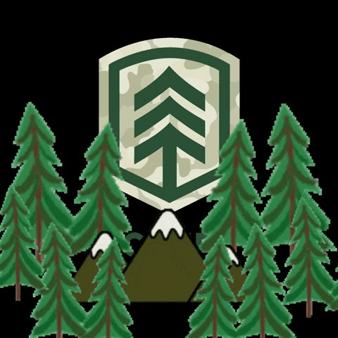 Forest GIF by Camp Freedom