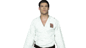 czechjudo fight swipe up mma bjj Sticker
