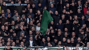 GIF by FOX Sports