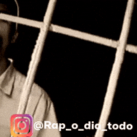 Rapodiatodo GIF