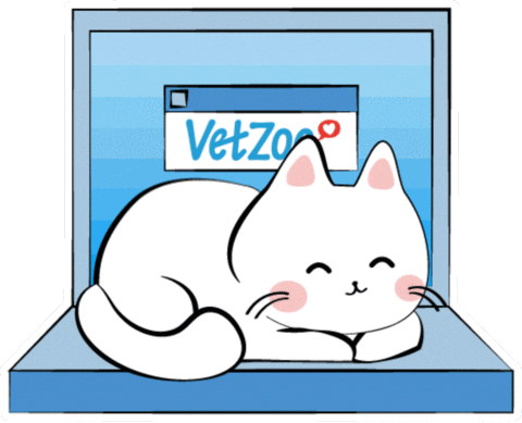 Cats Shopping GIF by Vetzoo