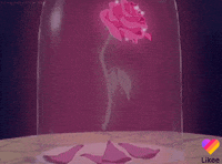 Red Rose Love GIF by Likee US