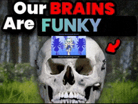 Shrinking Touhou Project GIF